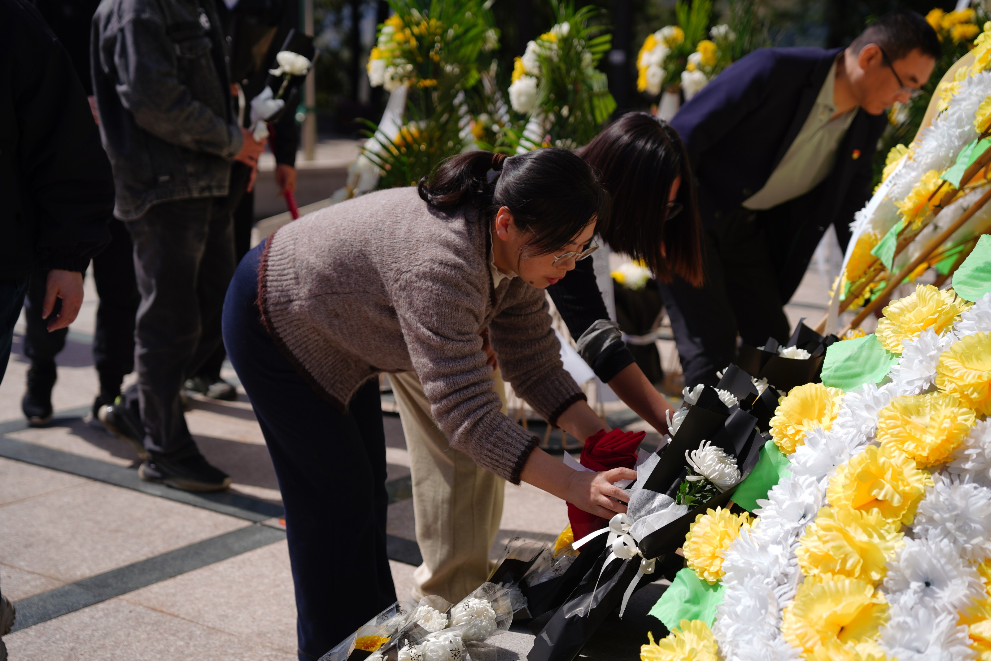 1774921131134414.jpg 1774921131134414.jpg